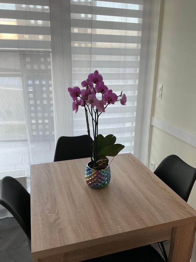 Ferienwohnung Apartament „Dwie Wieze” Kattowitz Exterior foto